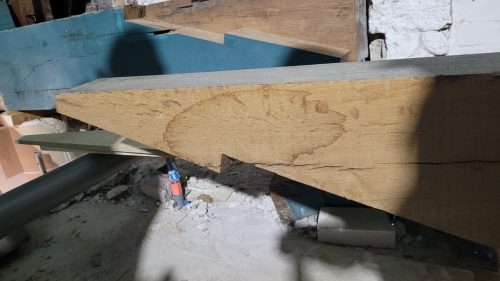 23 20250606 Aan de zuidzijde ook